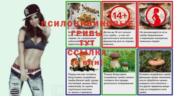 сатива Аркадак