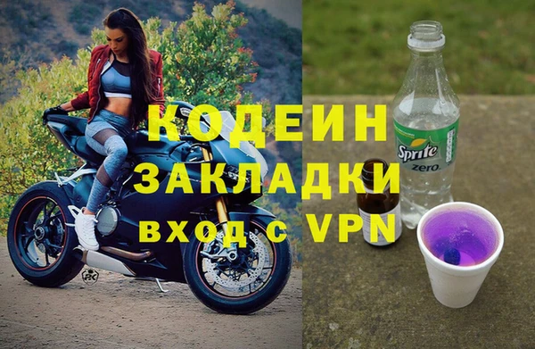 сатива Аркадак