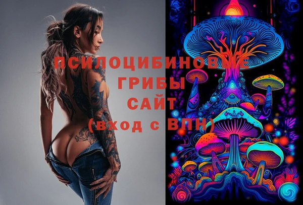 сатива Аркадак
