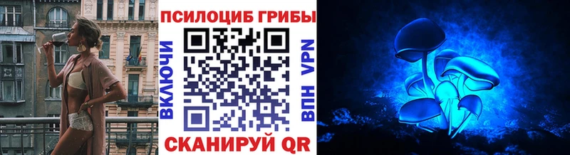 Галлюциногенные грибы Psilocybe Городище